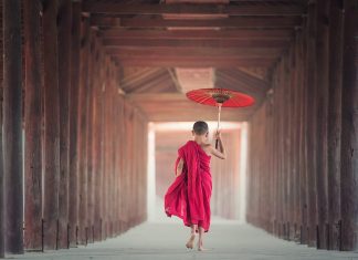 Cuộc sống nhìn từ ô cửa thiền (29) umbrella 1807513