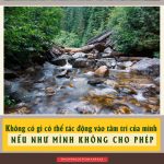 Dòng Suối dong-suoi