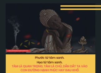 Hãy tập cách sống tốt hay tap cach song tot