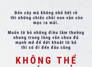 Lời Kinh trong lòng bàn tay (68) loi kinh trong long ban tay 68