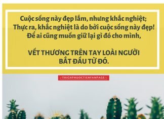 Lời Kinh trong lòng bàn tay (97) loi kinh trong long ban tay 97