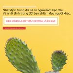 Số phận so phan
