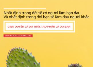 Số phận so phan