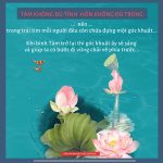 Tâm tĩnh, lòng tự khắc yên tam tinh long tu khac yen