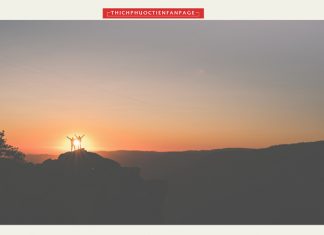 Vượt qua chông gai vuot qua chong gai