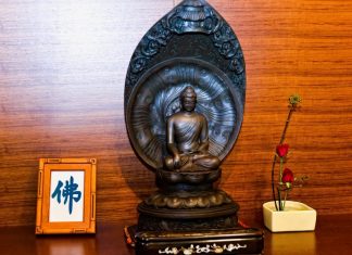 Còn Gặp Nhau con gap nhau