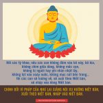 Giáo pháp của Như Lai giao-phap-cua-nhu-lai