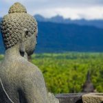 Tuyệt mù tuyet mu