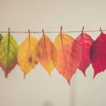 Hàn Tín Và Câu Nói Của Bà Lão Giặt Vải Han-Tin-Va-Cau-Noi-Cua-ba-lao-giat-vai