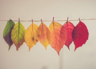 Hàn Tín Và Câu Nói Của Bà Lão Giặt Vải Han-Tin-Va-Cau-Noi-Cua-ba-lao-giat-vai