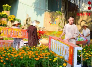 TVTV: Hoạt động chuẩn bị đón Xuân Canh Tý – 2020 chuan bi tet 2020 83
