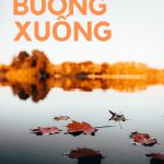 “Buông” buong