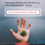 Chân thành mới là bến đỗ chan-thanh-moi-la-ben-do