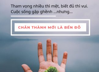 Chân thành mới là bến đỗ chan-thanh-moi-la-ben-do