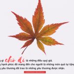 Cho là nhận cho la nhan