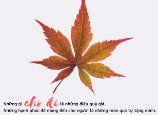Cho là nhận cho la nhan