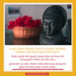 Cuộc sống không phải là chiến trường. cuoc song khong phai chien truong