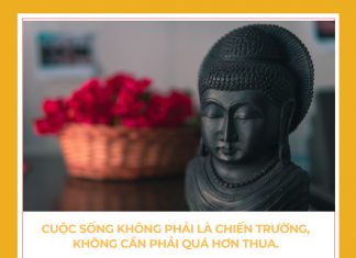 Cuộc sống không phải là chiến trường. cuoc song khong phai chien truong