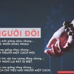 “Rượu không uống, không say, tim không vướng không bận” ruoi-khong-uong-khong-say