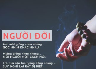 “Rượu không uống, không say, tim không vướng không bận” ruoi-khong-uong-khong-say
