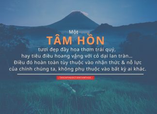 Nuôi dưỡng tâm hồn nuoi duong tam hon