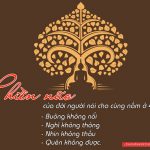 Phiền não phien nao