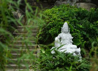 Phúc đức nằm trong tay, phá hay giữ là do mỗi người phuc duc