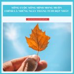 Sống ý nghĩa mỗi ngày song y nghia moi ngay