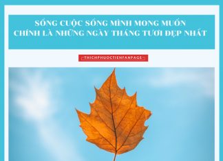 Sống ý nghĩa mỗi ngày song y nghia moi ngay