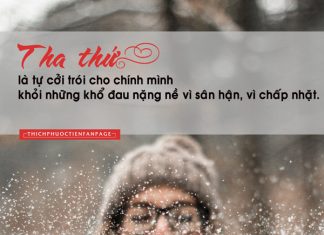 Tha thứ là tự cởi trói cho chính mình tha thu la tu coi troi cho chinh minh