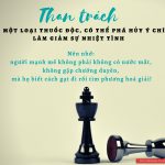 Than trách là một loại thuốc độc thanh trach la mot loai thuoc doc
