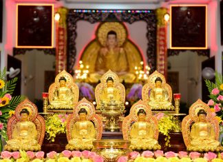 TVTV: Lễ Dược Sư Kỳ An – Kỳ Siêu Năm Canh Tý. via duoc su 2020 8
