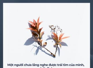 Bình yên ở đâu? binh yen o dau