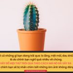 Cái gì đang xảy ra, hãy để nói đi qua… cai gi dang xay ra hay de no di qua
