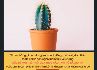 Cái gì đang xảy ra, hãy để nói đi qua… cai gi dang xay ra hay de no di qua