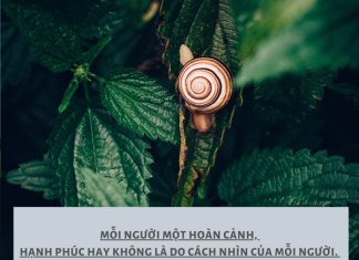 Câu chuyện về ốc sên cau chuyen ve oc sen
