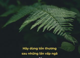 Chữa vết thương lòng… chua vet thuong long