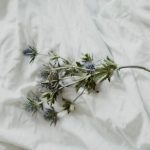 Chuyện về Mã Tổ chuyen ve ma to