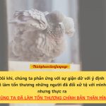 Con rắn và cái cưa… con ran va cai cua