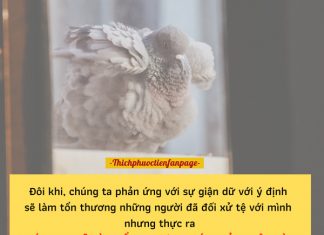 Con rắn và cái cưa… con ran va cai cua