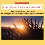 Niềm vui hay nỗi buồn là do bản thân mình chọn cuoc song la kich ban tot nhat