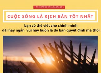 Niềm vui hay nỗi buồn là do bản thân mình chọn cuoc song la kich ban tot nhat