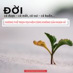 Đời không thể trọn vẹn nên cũng không cần hoàn mĩ. doi khong the trong ven nen cung khong can hoan my