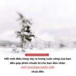 Đừng trách móc bản thân vì những sai lầm đã qua dung trach moc ban than vi nhung sai lam da qua