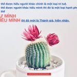 Đừng tùy tiện làm phiền người khác dung tuy tien lam lien nguoi khac