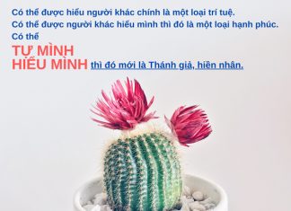 Đừng tùy tiện làm phiền người khác dung tuy tien lam lien nguoi khac