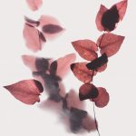 Lòng tốt luôn tuần hoàn evie s 8vovuZCj0c unsplash