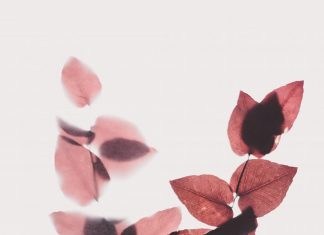 Lòng tốt luôn tuần hoàn evie s 8vovuZCj0c unsplash