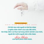 Gốc rễ của niềm vui goc re cua niem vui
