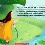 QUẠ, THIÊN NGA, VẸT HAY CÔNG, LOẠI CHIM NÀO HẠNH PHÚC NHẤT? hay luon tran trong nhung gi minh dang co